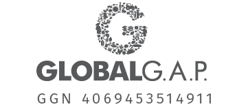 LOGO GLOBAL GAP AGN