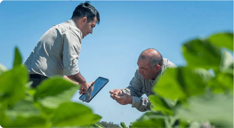 REPORTE DE SUSTENTABILIDAD