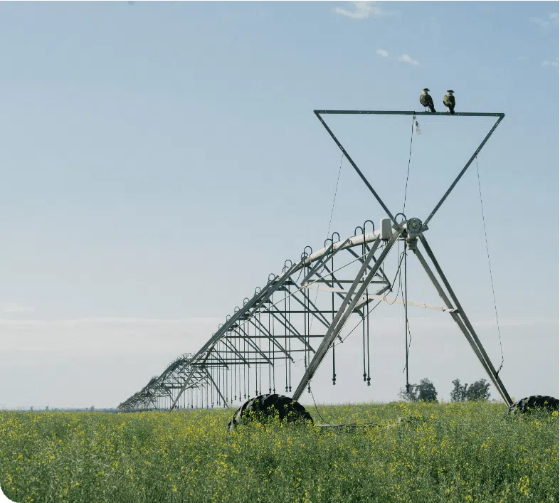 SOSTENIBILIDAD AGROPECUARIA